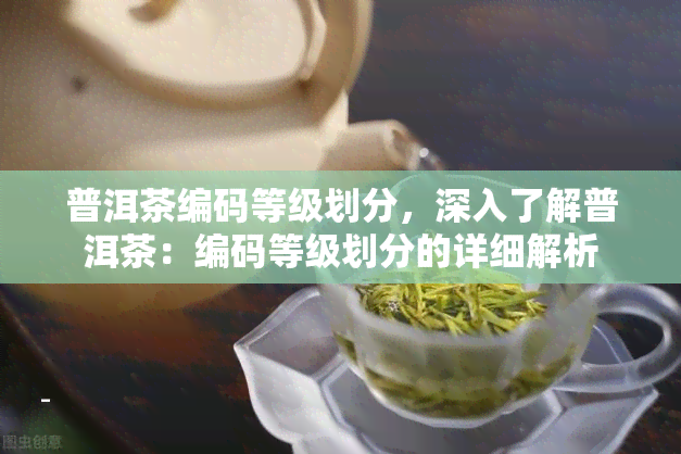 普洱茶编码等级划分，深入了解普洱茶：编码等级划分的详细解析