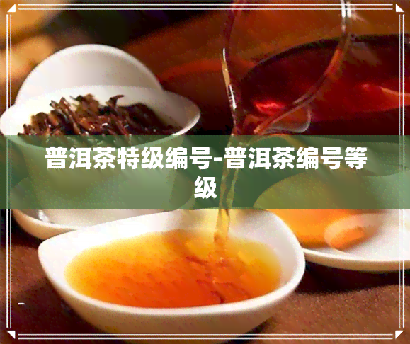 普洱茶特级编号-普洱茶编号等级