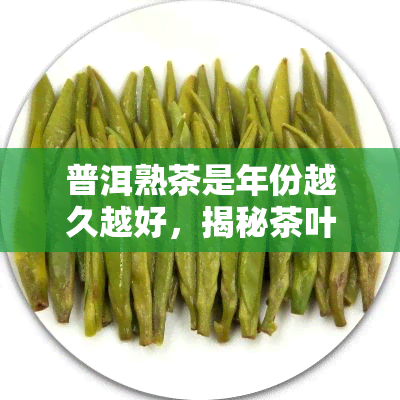 普洱熟茶是年份越久越好，揭秘茶叶收藏：普洱熟茶的年份真的越久越好吗？