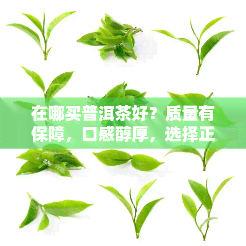 在哪买普洱茶好？质量有保障，口感醇厚，选择正宗的购买渠道