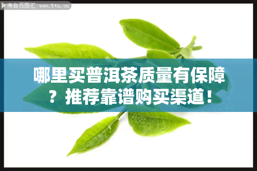 哪里买普洱茶质量有保障？推荐靠谱购买渠道！