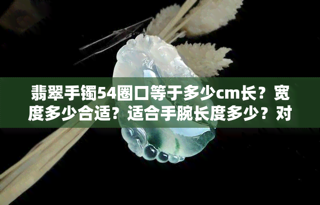 翡翠手镯54圈口等于多少cm长？宽度多少合适？适合手腕长度多少？对应的手围是多少？