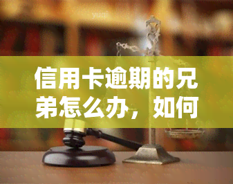 信用卡逾期的兄弟怎么办，如何应对信用卡逾期：一份实用指南