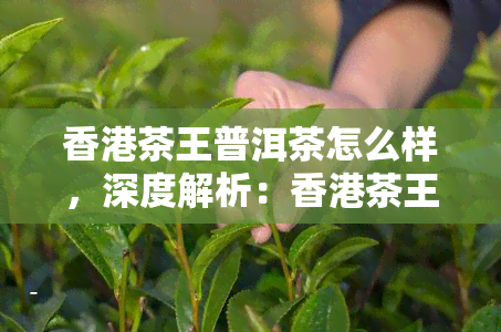 茶王普洱茶怎么样，深度解析：茶王普洱茶的品质与口感