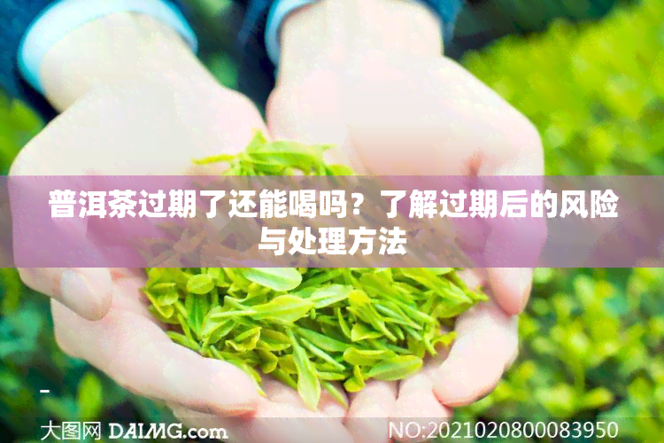 普洱茶过期了还能喝吗？了解过期后的风险与处理方法