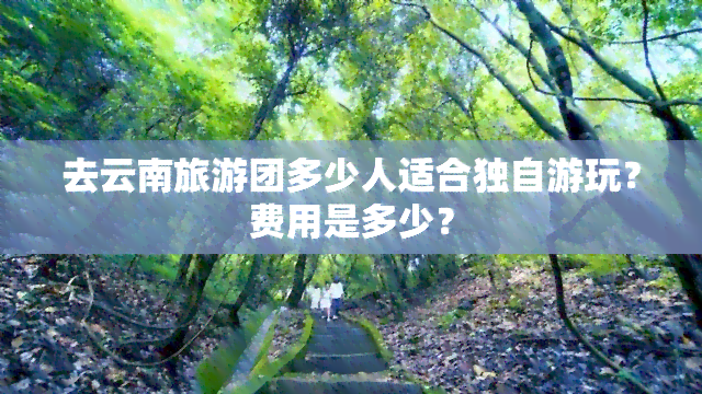 去云南旅游团多少人适合独自游玩？费用是多少？