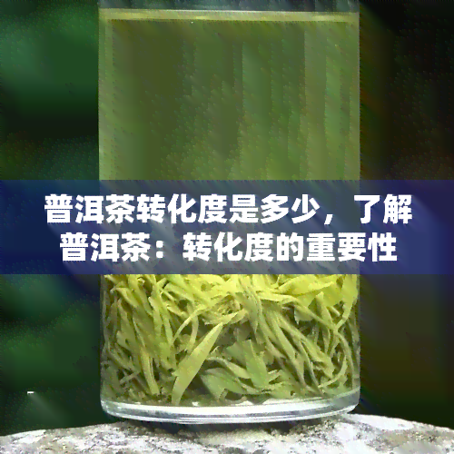 普洱茶转化度是多少，了解普洱茶：转化度的重要性