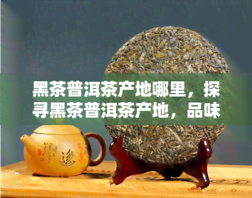 黑茶普洱茶产地哪里，探寻黑茶普洱茶产地，品味独特口感之旅