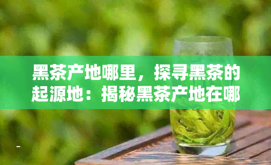 黑茶产地哪里，探寻黑茶的起源地：揭秘黑茶产地在哪里