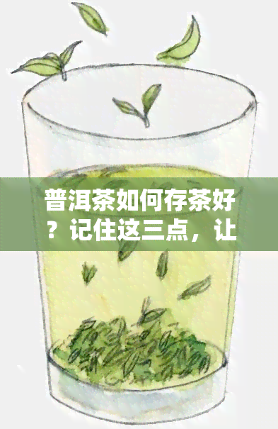 普洱茶如何存茶好？记住这三点，让你存出好普洱！教你普洱茶存茶方法，达到效果！