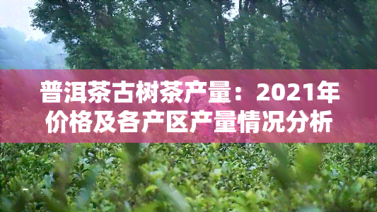 普洱茶古树茶产量：2021年价格及各产区产量情况分析