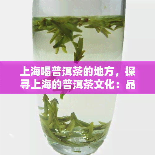 上海喝普洱茶的地方，探寻上海的普洱茶文化：品味茶香与城市风情