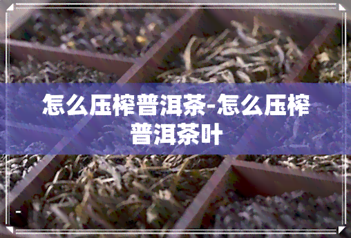 怎么压榨普洱茶-怎么压榨普洱茶叶