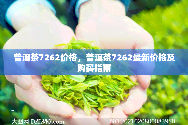 普洱茶7262价格，普洱茶7262最新价格及购买指南