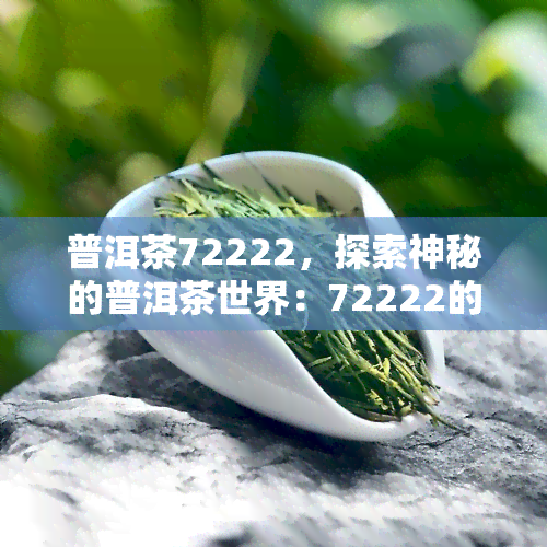 普洱茶72222，探索神秘的普洱茶世界：72222的独特魅力