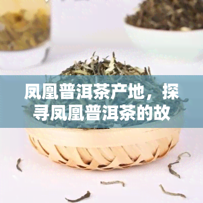 凤凰普洱茶产地，探寻凤凰普洱茶的故乡：揭秘其产地的独特魅力