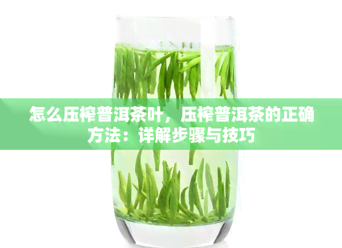 怎么压榨普洱茶叶，压榨普洱茶的正确方法：详解步骤与技巧