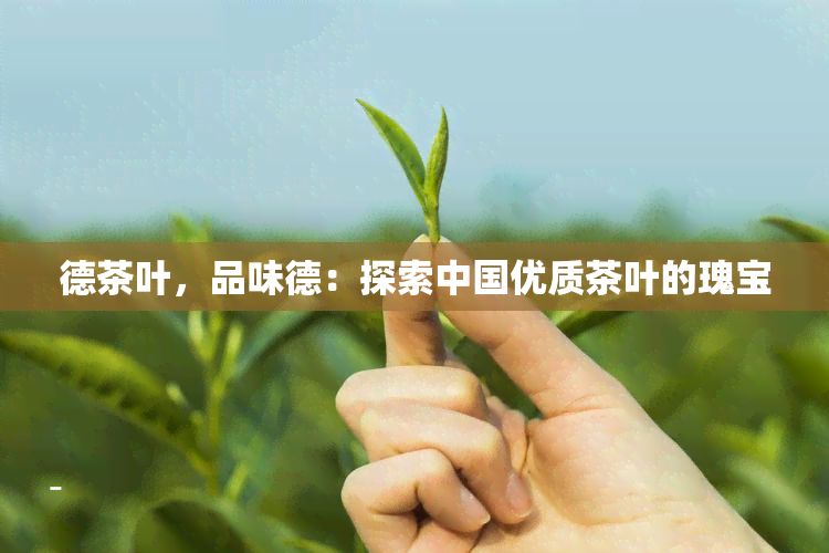 德茶叶，品味德：探索中国优质茶叶的瑰宝