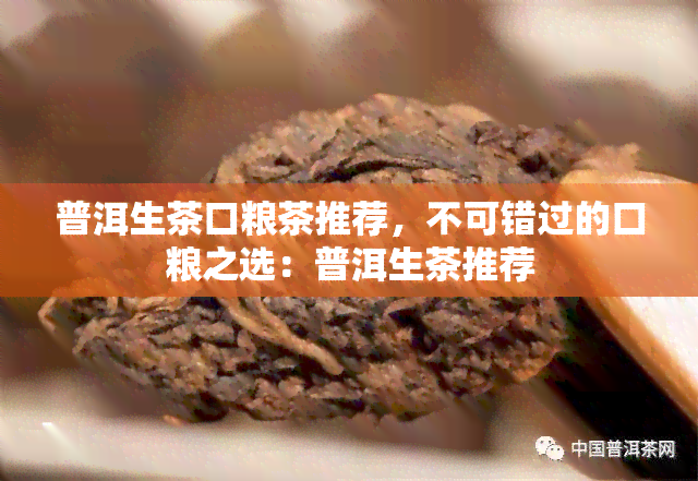 普洱生茶口粮茶推荐，不可错过的口粮之选：普洱生茶推荐