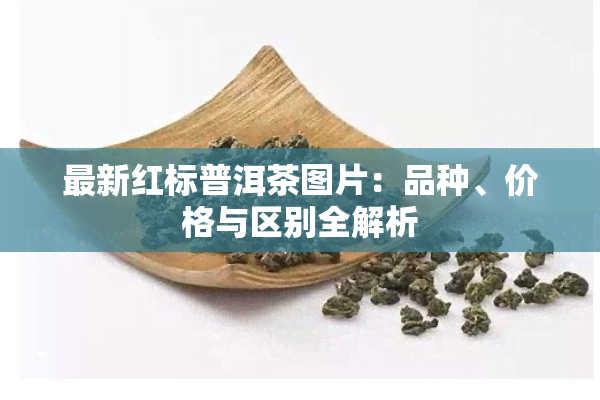 最新红标普洱茶图片：品种、价格与区别全解析