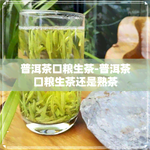 普洱茶口粮生茶-普洱茶口粮生茶还是熟茶