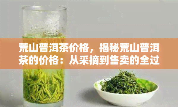 荒山普洱茶价格，揭秘荒山普洱茶的价格：从采摘到售卖的全过程解析