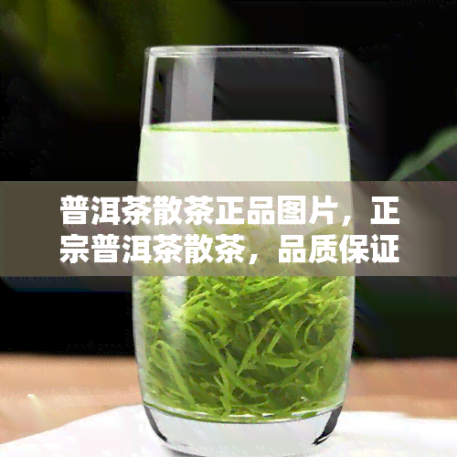 普洱茶散茶正品图片，正宗普洱茶散茶，品质保证，图片展示