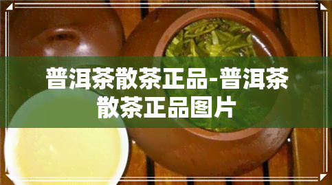 普洱茶散茶正品-普洱茶散茶正品图片