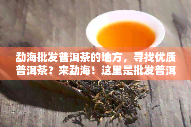 勐海批发普洱茶的地方，寻找优质普洱茶？来勐海！这里是批发普洱茶的去处！