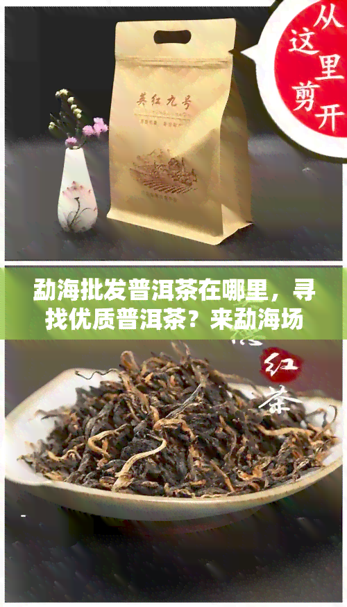 勐海批发普洱茶在哪里，寻找优质普洱茶？来勐海场！