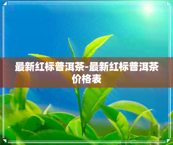 最新红标普洱茶-最新红标普洱茶价格表