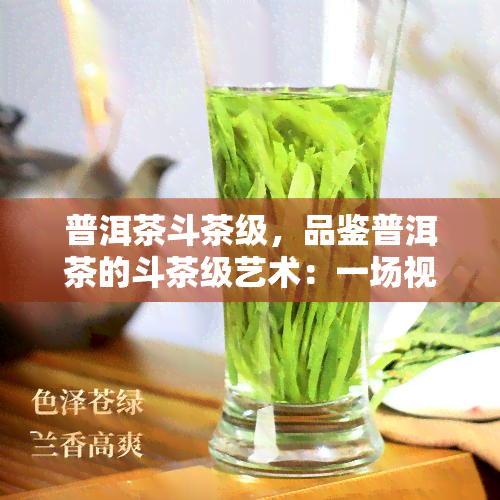 普洱茶斗茶级，品鉴普洱茶的斗茶级艺术：一场视觉与味觉的宴