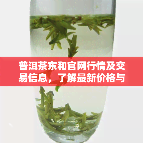 普洱茶东和官网行情及交易信息，了解最新价格与冬茶品质，一站式获取大益普洱茶资讯。