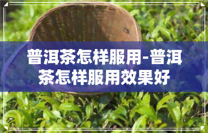 普洱茶怎样服用-普洱茶怎样服用效果好