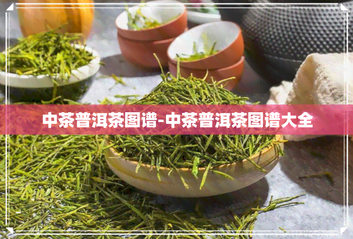 中茶普洱茶图谱-中茶普洱茶图谱大全