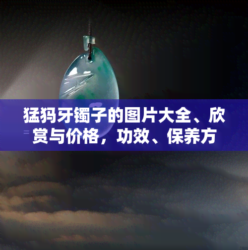 猛犸牙镯子的图片大全、欣赏与价格，功效、保养方法全解析