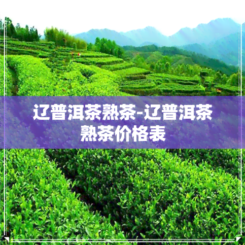 辽普洱茶熟茶-辽普洱茶熟茶价格表