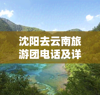 沈阳去云南旅游团电话及详细信息：行程、价格、攻略全掌握