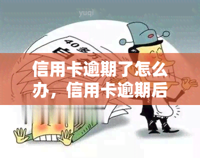 信用卡逾期了怎么办，信用卡逾期后，如何妥善处理？