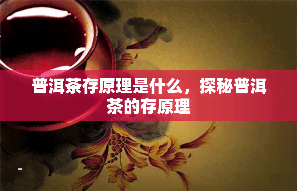 普洱茶存原理是什么，探秘普洱茶的存原理