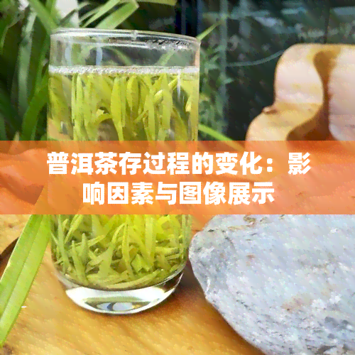 普洱茶存过程的变化：影响因素与图像展示