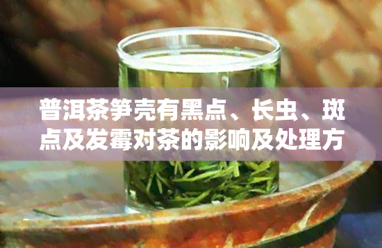 普洱茶笋壳有黑点、长虫、斑点及发霉对茶的影响及处理方法