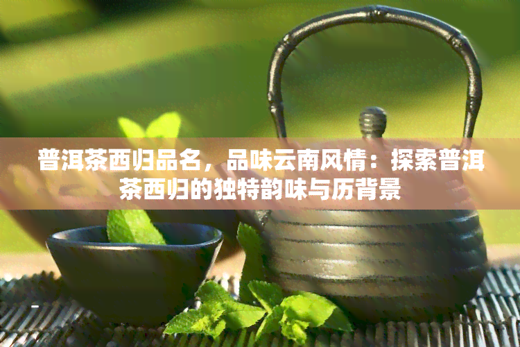 普洱茶西归品名，品味云南风情：探索普洱茶西归的独特韵味与历背景