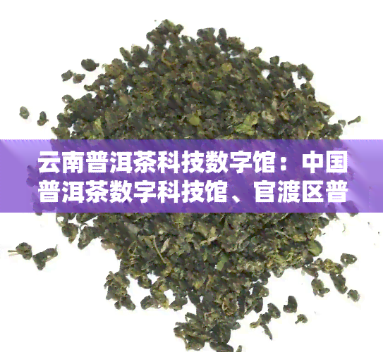 云南普洱茶科技数字馆：中国普洱茶数字科技馆、官渡区普洱茶科技数字馆、普洱茶文化科技中心、普洱数字