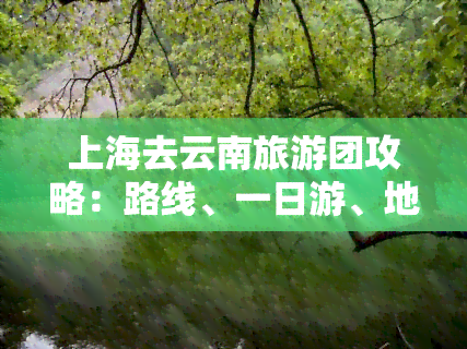 上海去云南旅游团攻略：路线、一日游、地图及价格全解析