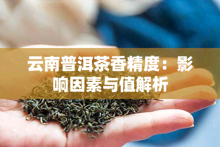 云南普洱茶香精度：影响因素与值解析