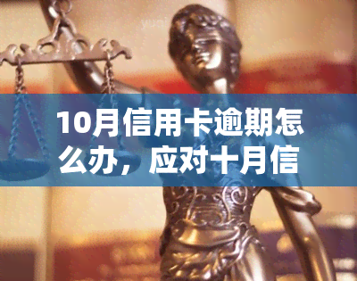 10月信用卡逾期怎么办，应对十月信用卡逾期：策略与建议