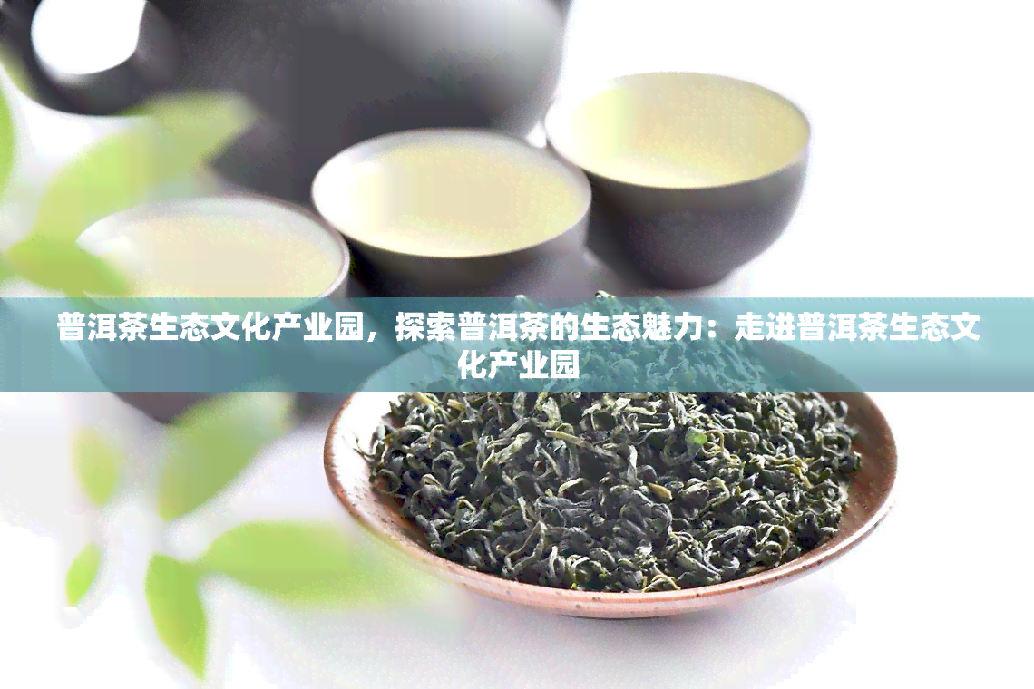 普洱茶生态文化产业园，探索普洱茶的生态魅力：走进普洱茶生态文化产业园