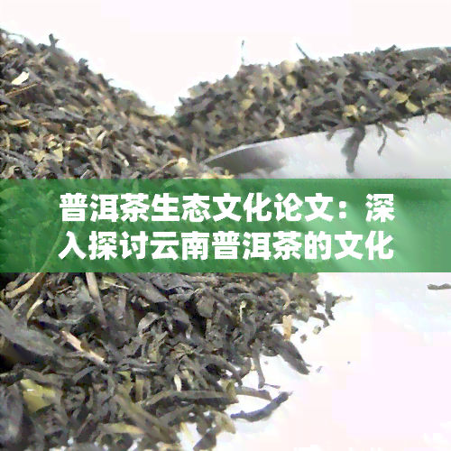 普洱茶生态文化论文：深入探讨云南普洱茶的文化、环境及其影响力