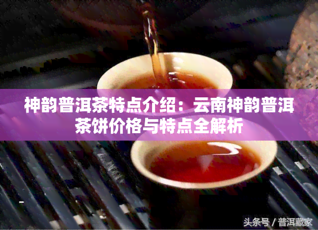 神韵普洱茶特点介绍：云南神韵普洱茶饼价格与特点全解析